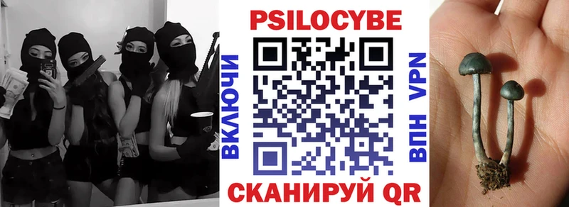 Галлюциногенные грибы Magic Shrooms  хочу наркоту  ОМГ ОМГ вход  Гатчина 